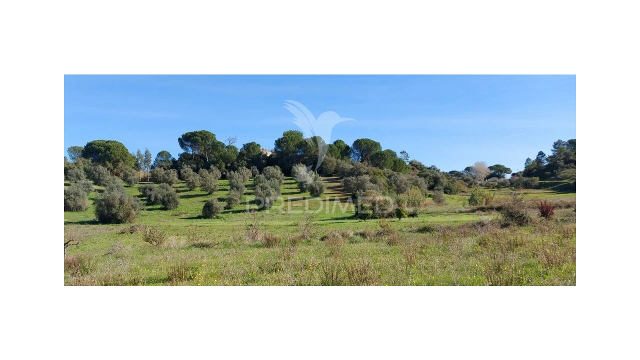 Terreno para Venda em Arneiro das Milhariças Foto 7