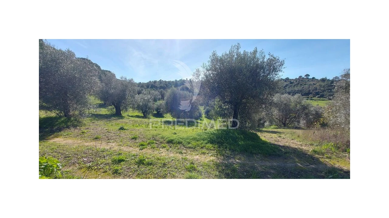 Terreno para Venda em Arneiro das Milhariças Foto 3