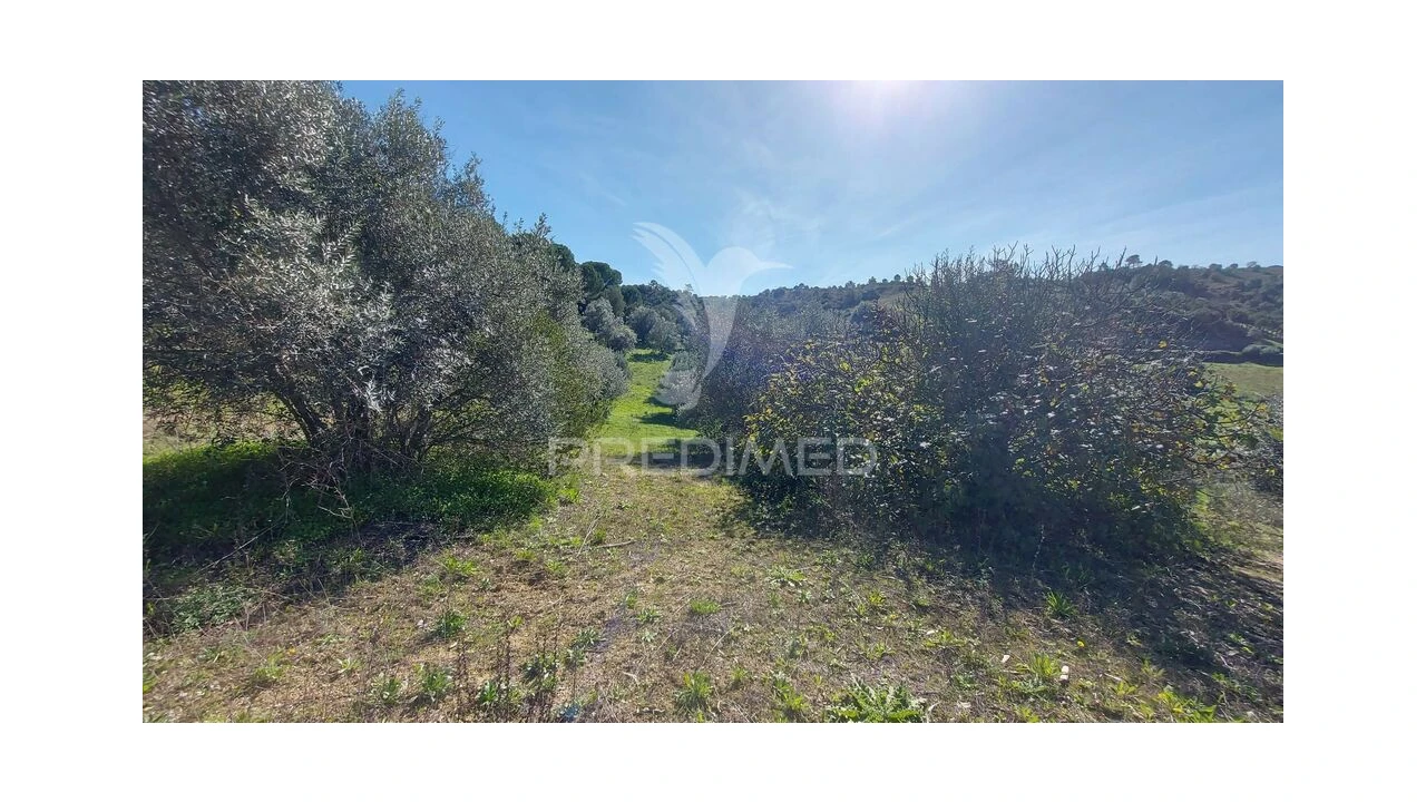 Terreno para Venda em Arneiro das Milhariças Foto 4