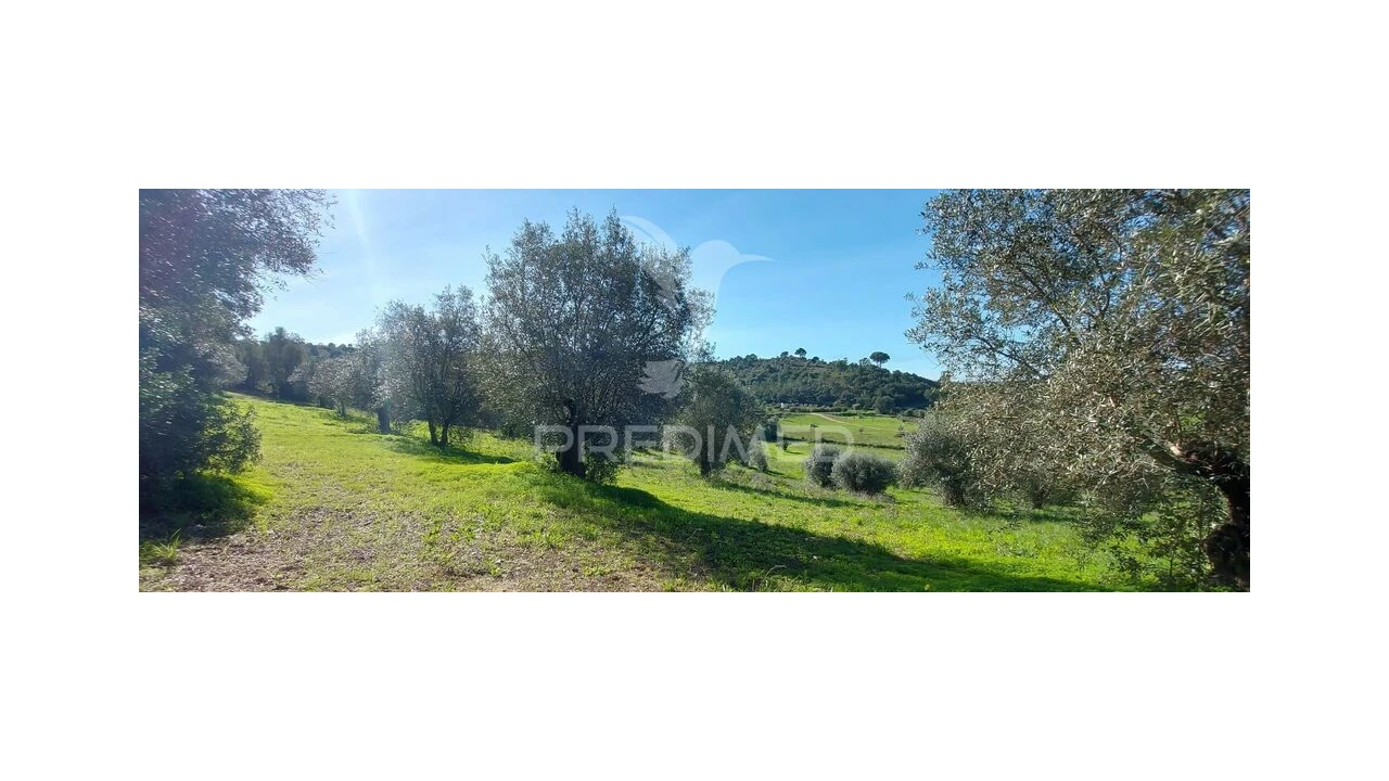 Terreno para Venda em Arneiro das Milhariças Foto 2
