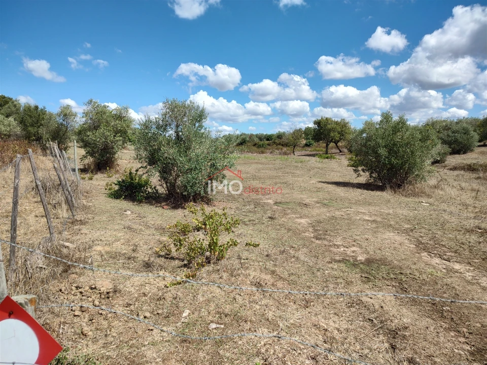 Terreno Agricola ou Rústico para Venda em Espírito Santo, Nossa Senhora da Graça e São Simão Foto 5