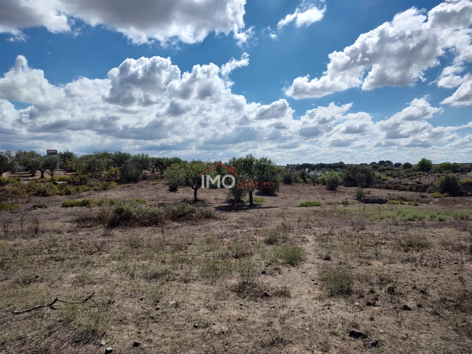 Terreno Agricola ou Rústico para Venda em Espírito Santo, Nossa Senhora da Graça e São Simão Foto 26