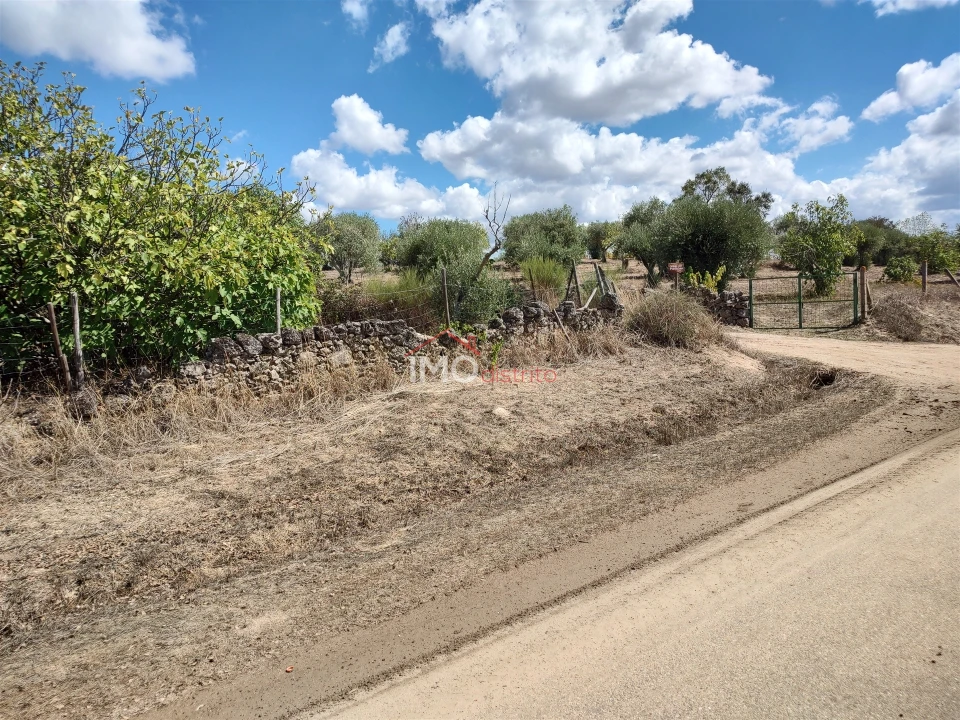 Terreno Agricola ou Rústico para Venda em Espírito Santo, Nossa Senhora da Graça e São Simão Foto 43