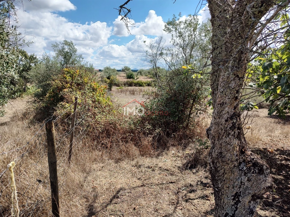 Terreno Agricola ou Rústico para Venda em Espírito Santo, Nossa Senhora da Graça e São Simão Foto 37