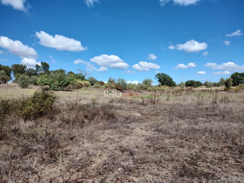 Terreno Agricola ou Rústico para Venda em Espírito Santo, Nossa Senhora da Graça e São Simão Foto 15