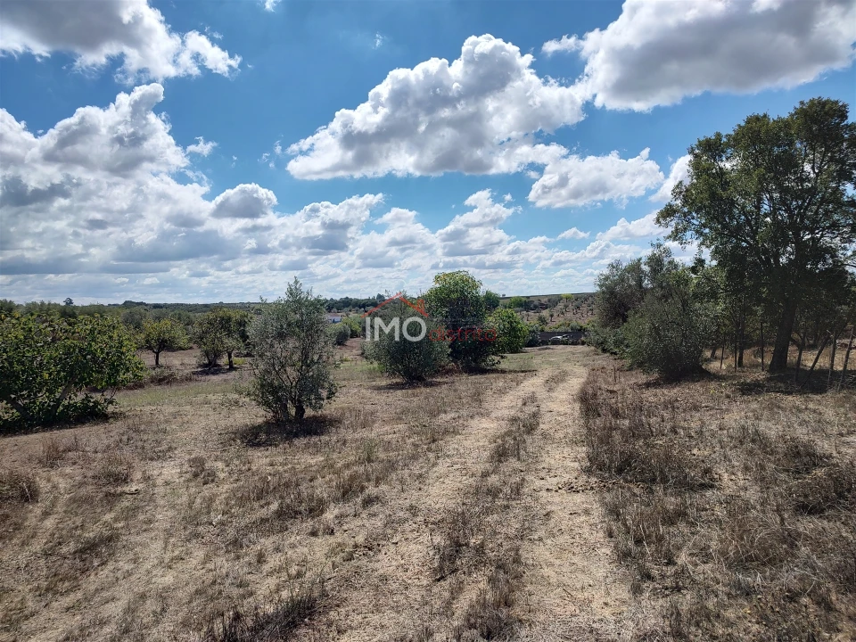 Terreno Agricola ou Rústico para Venda em Espírito Santo, Nossa Senhora da Graça e São Simão Foto 20