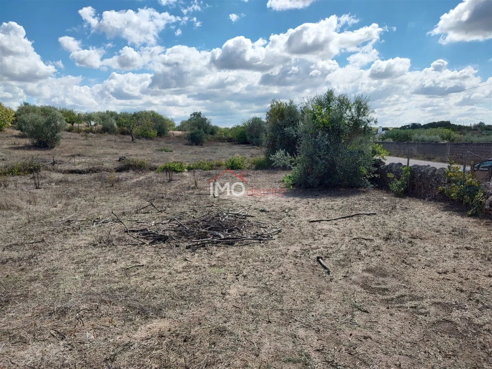 Terreno Agricola ou Rústico para Venda em Espírito Santo, Nossa Senhora da Graça e São Simão Foto 7