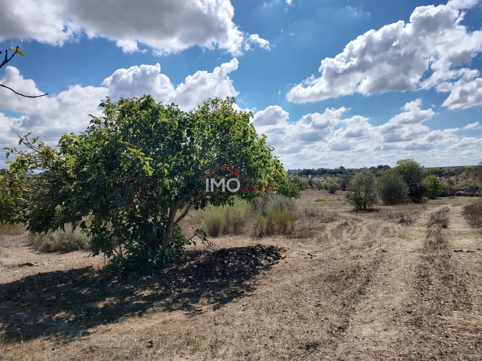 Terreno Agricola ou Rústico para Venda em Espírito Santo, Nossa Senhora da Graça e São Simão Foto 39