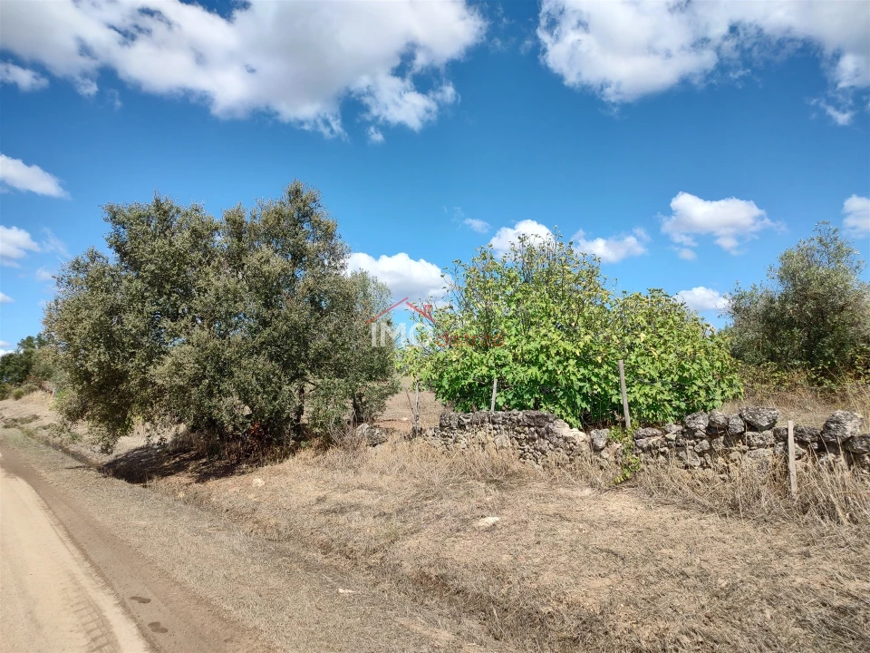 Terreno Agricola ou Rústico para Venda em Espírito Santo, Nossa Senhora da Graça e São Simão Foto 42