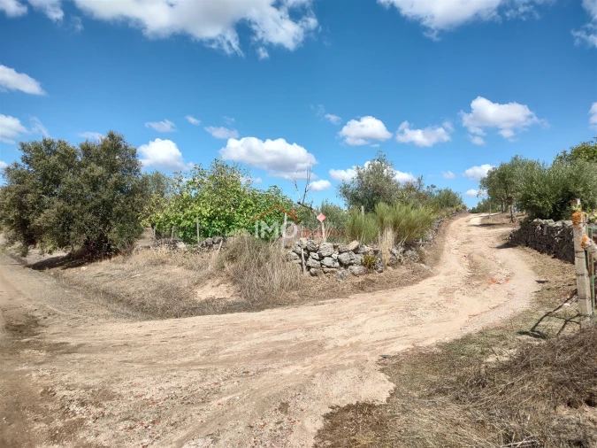 Terreno Agricola ou Rústico para Venda em Espírito Santo, Nossa Senhora da Graça e São Simão Foto 41