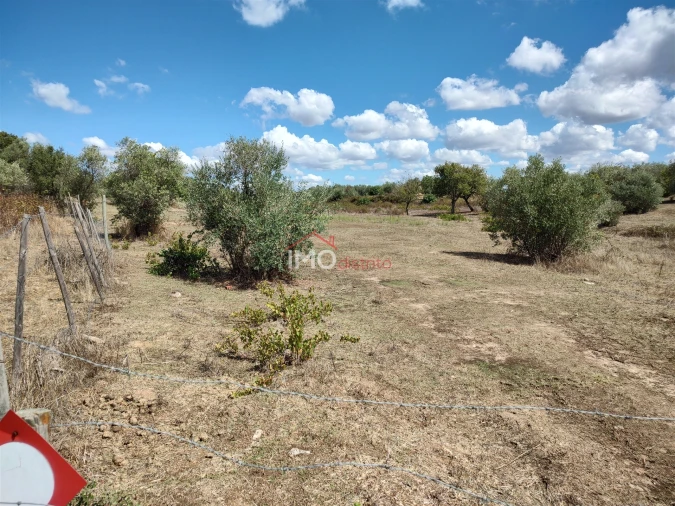 Terreno Agricola ou Rústico para Venda em Espírito Santo, Nossa Senhora da Graça e São Simão Foto 5