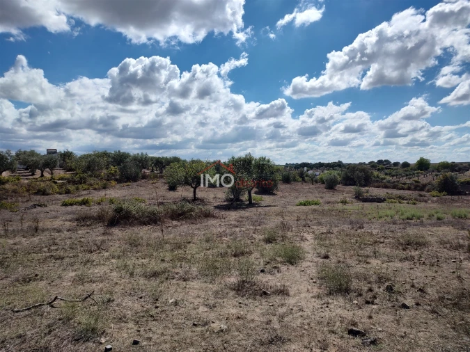 Terreno Agricola ou Rústico para Venda em Espírito Santo, Nossa Senhora da Graça e São Simão Foto 26