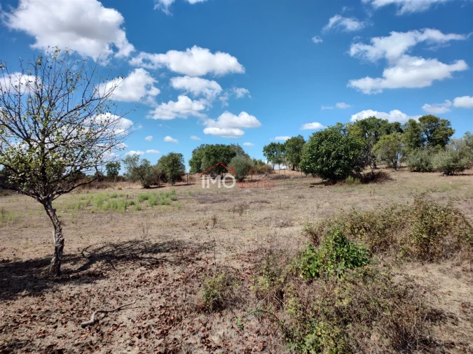 Terreno Agricola ou Rústico para Venda em Espírito Santo, Nossa Senhora da Graça e São Simão Foto 8