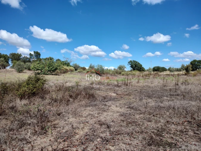 Terreno Agricola ou Rústico para Venda em Espírito Santo, Nossa Senhora da Graça e São Simão Foto 15