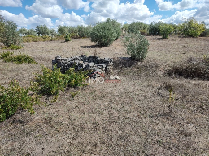 Terreno Agricola ou Rústico para Venda em Espírito Santo, Nossa Senhora da Graça e São Simão Foto 1