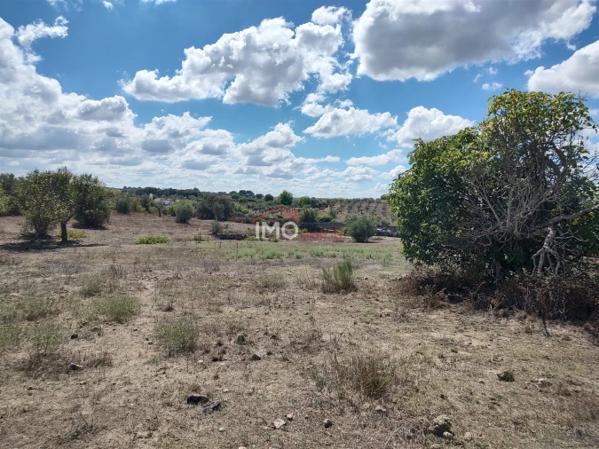 Terreno Agricola ou Rústico para Venda em Espírito Santo, Nossa Senhora da Graça e São Simão Foto 27