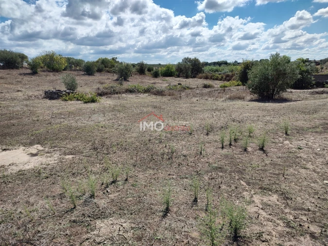 Terreno Agricola ou Rústico para Venda em Espírito Santo, Nossa Senhora da Graça e São Simão Foto 31
