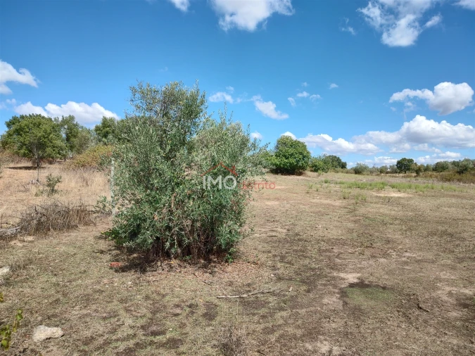Terreno Agricola ou Rústico para Venda em Espírito Santo, Nossa Senhora da Graça e São Simão Foto 10
