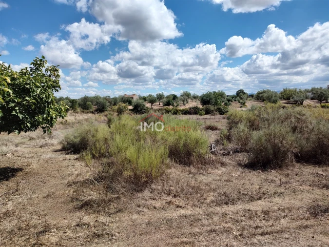 Terreno Agricola ou Rústico para Venda em Espírito Santo, Nossa Senhora da Graça e São Simão Foto 18