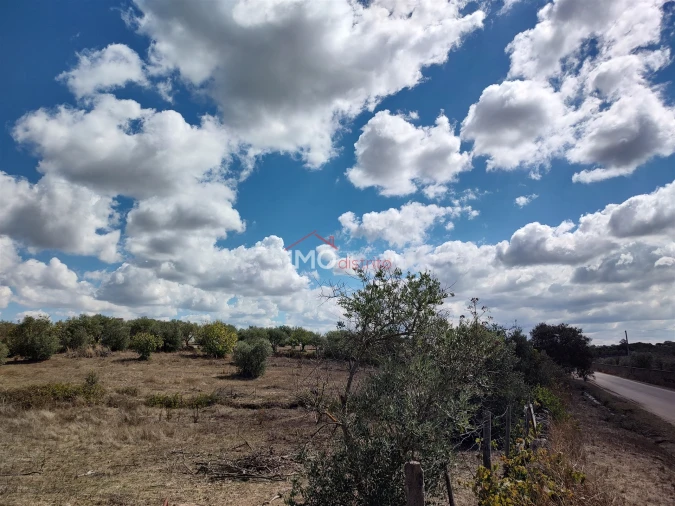 Terreno Agricola ou Rústico para Venda em Espírito Santo, Nossa Senhora da Graça e São Simão Foto 6