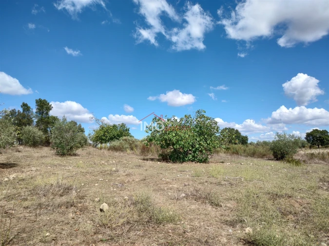 Terreno Agricola ou Rústico para Venda em Espírito Santo, Nossa Senhora da Graça e São Simão Foto 36