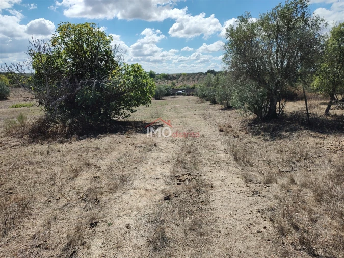 Terreno Agricola ou Rústico para Venda em Espírito Santo, Nossa Senhora da Graça e São Simão Foto 16