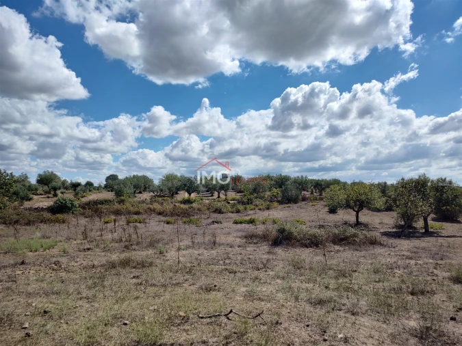 Terreno Agricola ou Rústico para Venda em Espírito Santo, Nossa Senhora da Graça e São Simão Foto 28