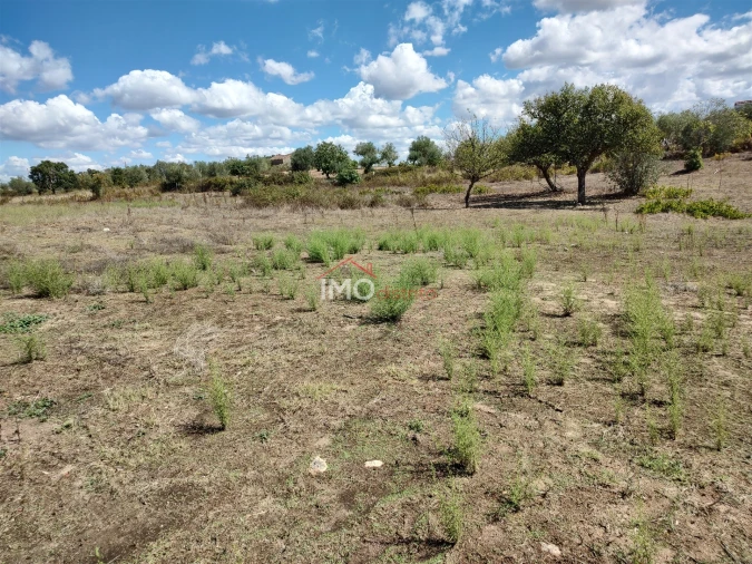 Terreno Agricola ou Rústico para Venda em Espírito Santo, Nossa Senhora da Graça e São Simão Foto 30