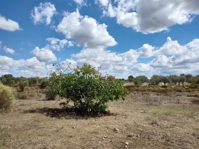 Terreno Agricola ou Rústico para Venda em Espírito Santo, Nossa Senhora da Graça e São Simão Foto 25