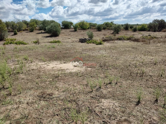 Terreno Agricola ou Rústico para Venda em Espírito Santo, Nossa Senhora da Graça e São Simão Foto 29