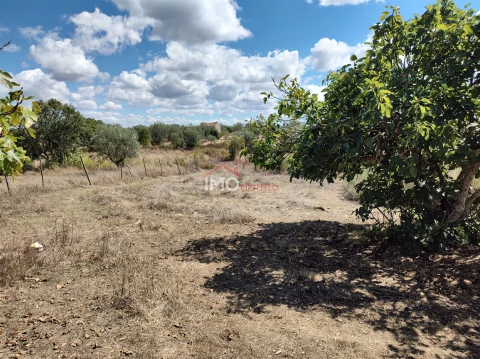 Terreno Agricola ou Rústico para Venda em Espírito Santo, Nossa Senhora da Graça e São Simão Foto 21