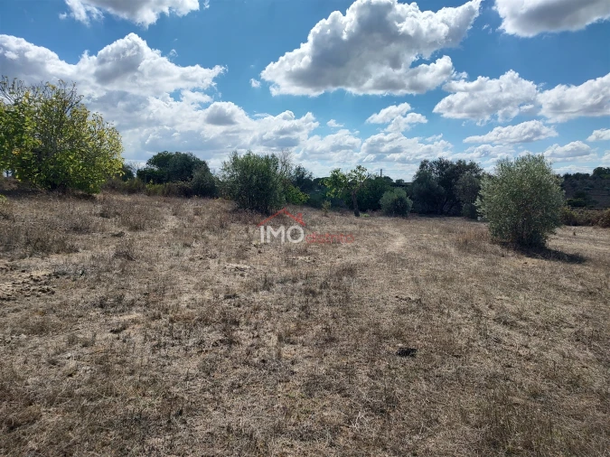 Terreno Agricola ou Rústico para Venda em Espírito Santo, Nossa Senhora da Graça e São Simão Foto 13