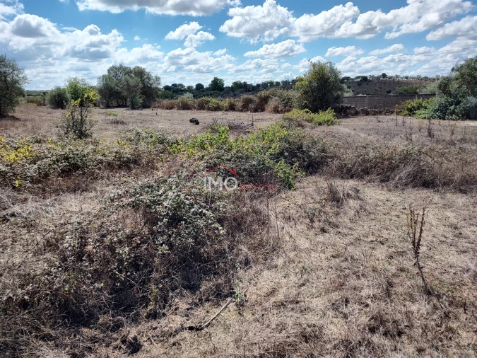 Terreno Agricola ou Rústico para Venda em Espírito Santo, Nossa Senhora da Graça e São Simão Foto 12