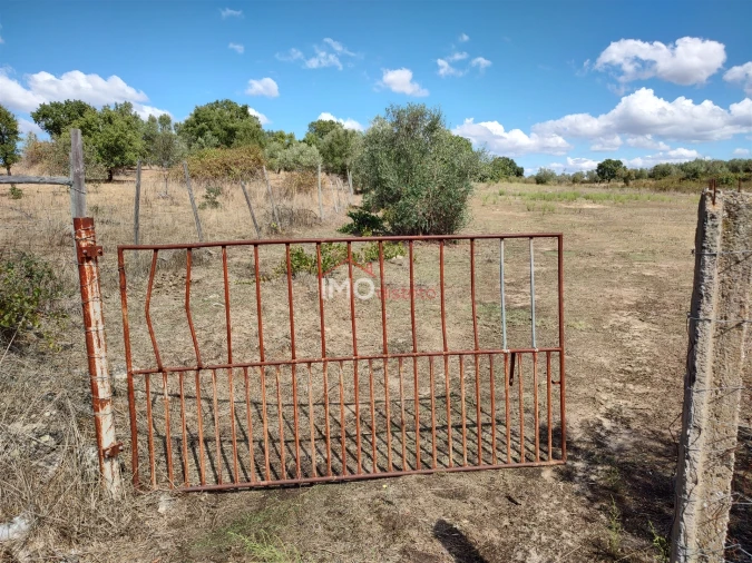 Terreno Agricola ou Rústico para Venda em Espírito Santo, Nossa Senhora da Graça e São Simão Foto 3