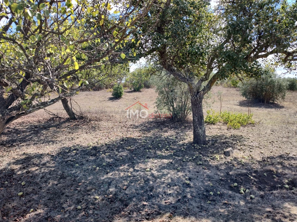 Terreno Agricola ou Rústico para Venda em Espírito Santo, Nossa Senhora da Graça e São Simão Foto 34