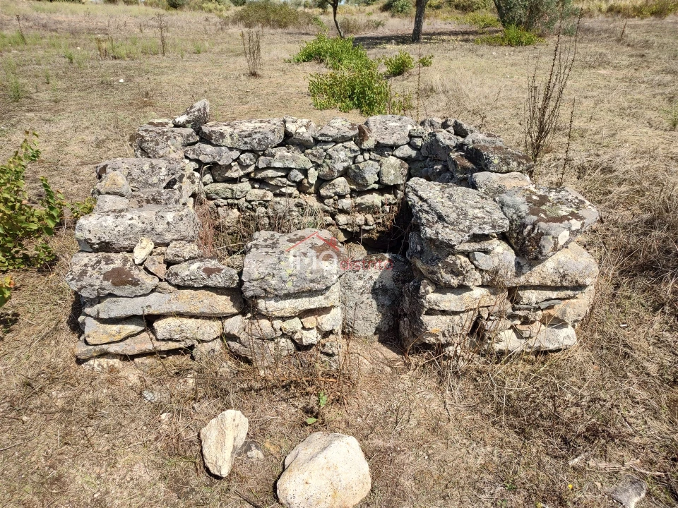 Terreno Agricola ou Rústico para Venda em Espírito Santo, Nossa Senhora da Graça e São Simão Foto 33