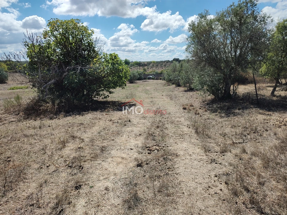 Terreno Agricola ou Rústico para Venda em Espírito Santo, Nossa Senhora da Graça e São Simão Foto 16
