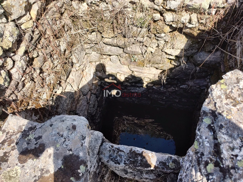 Terreno Agricola ou Rústico para Venda em Espírito Santo, Nossa Senhora da Graça e São Simão Foto 11