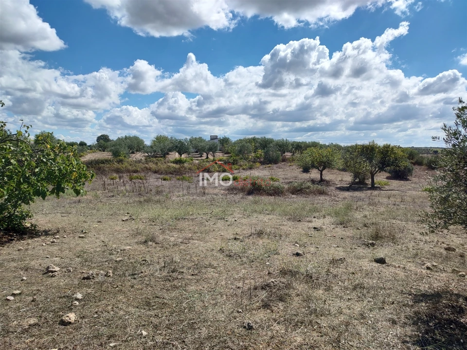 Terreno Agricola ou Rústico para Venda em Espírito Santo, Nossa Senhora da Graça e São Simão Foto 24