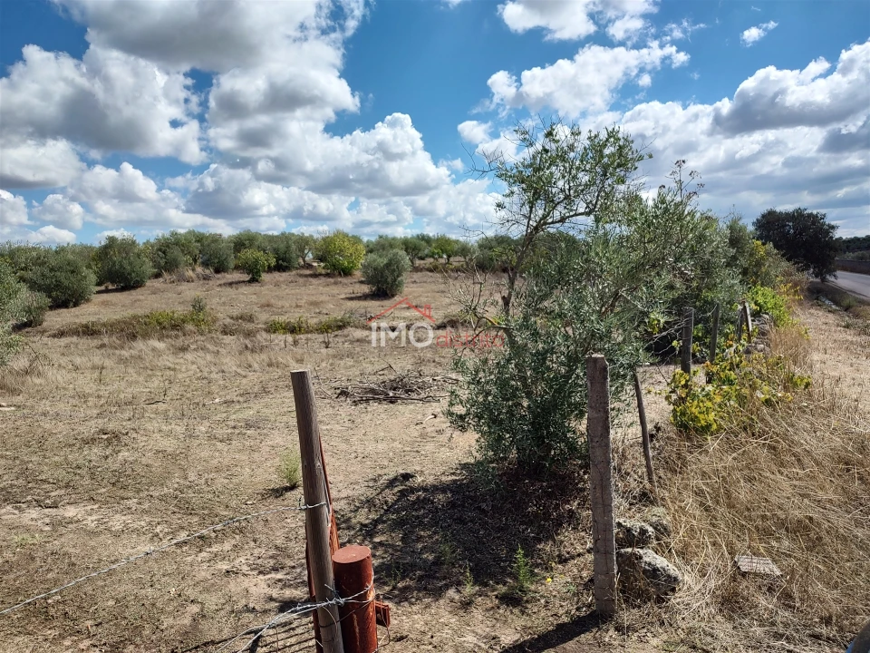 Terreno Agricola ou Rústico para Venda em Espírito Santo, Nossa Senhora da Graça e São Simão Foto 4