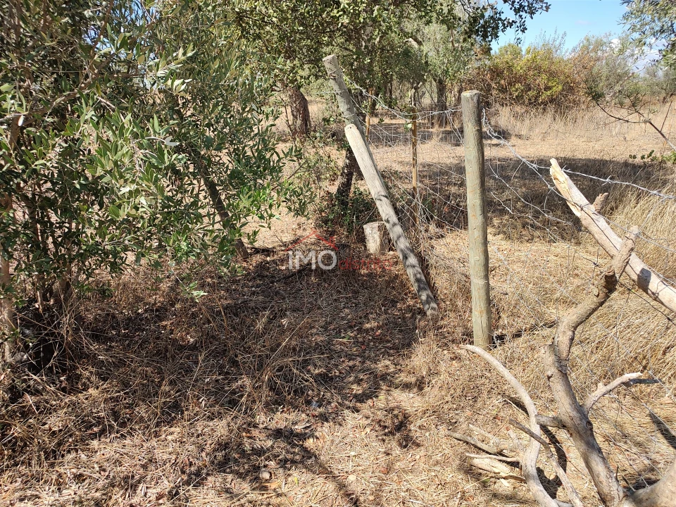 Terreno Agricola ou Rústico para Venda em Espírito Santo, Nossa Senhora da Graça e São Simão Foto 22