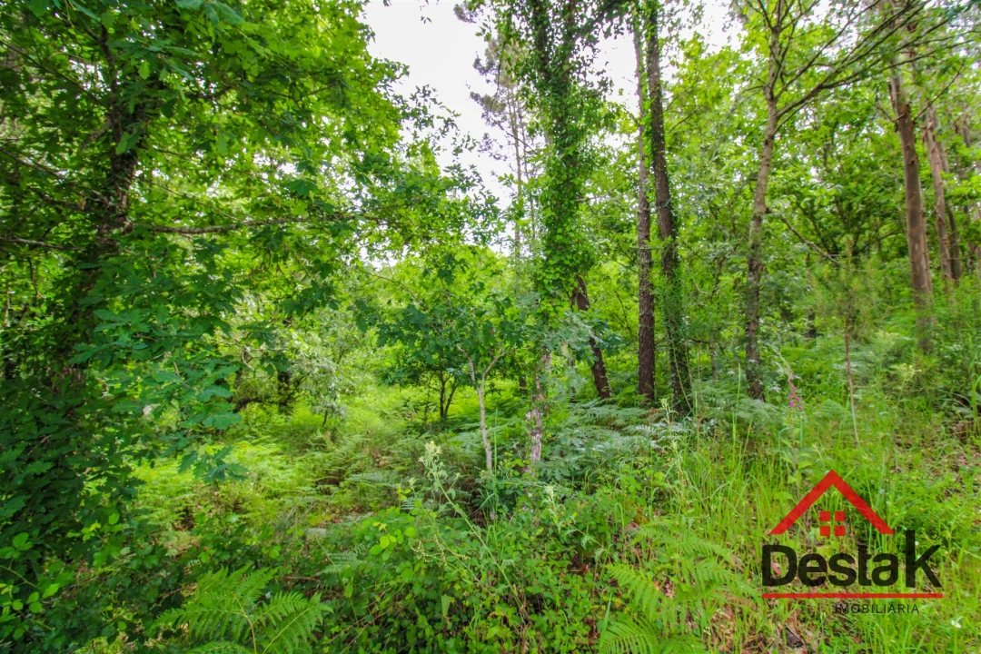 Terreno Agricola ou Rústico para Venda em São Pedro do Sul, Várzea e Baiões Foto 1