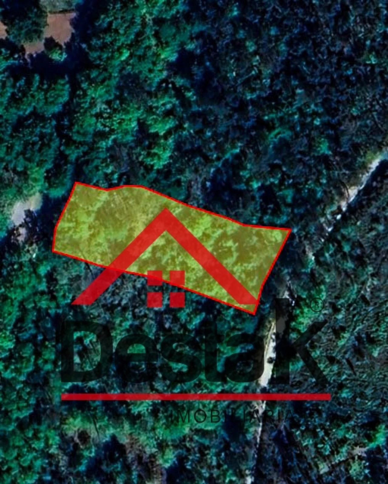 Terreno Agricola ou Rústico para Venda em São Pedro do Sul, Várzea e Baiões Foto 7