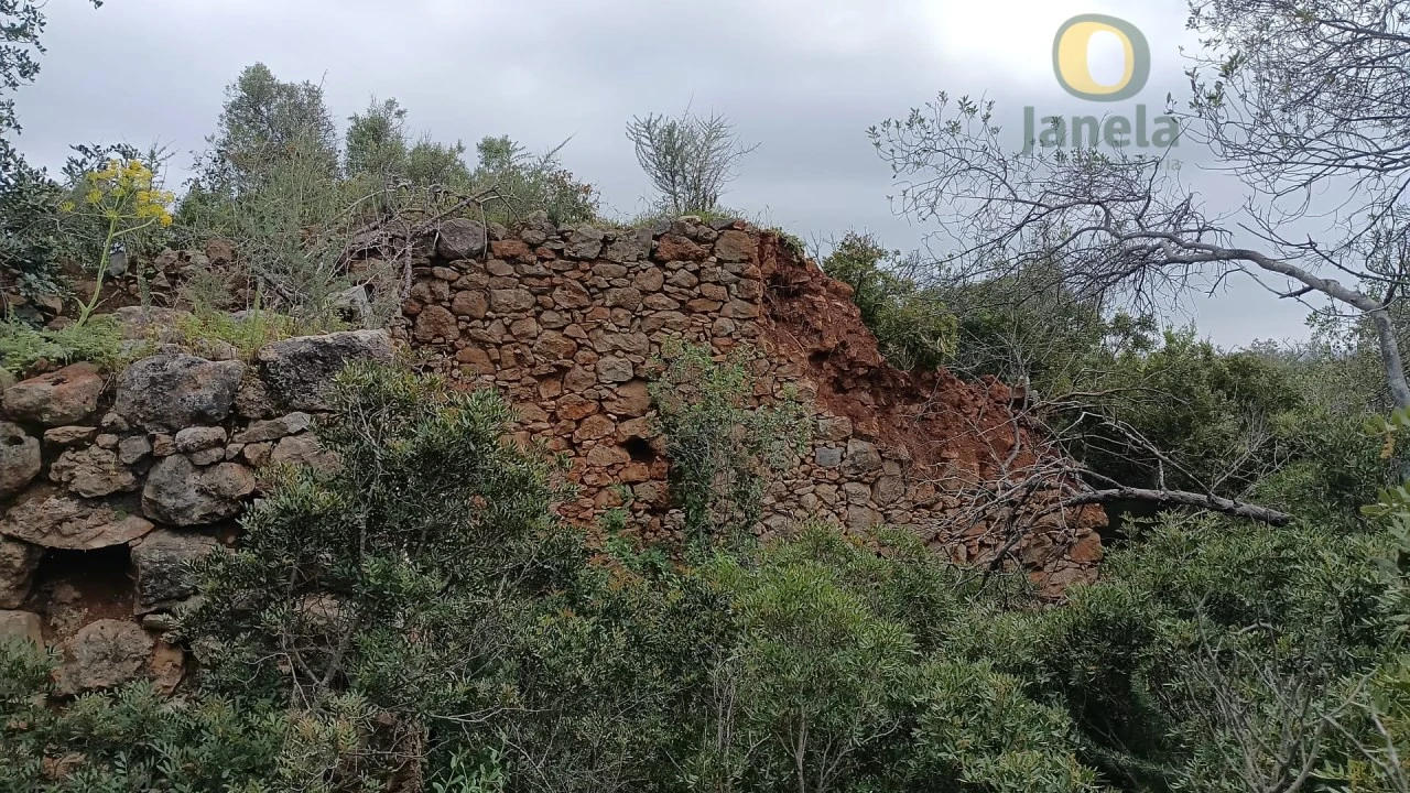Terreno para Venda em Santa Barbara de Nexe Foto 4