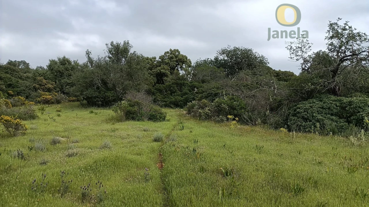 Terreno para Venda em Santa Barbara de Nexe Foto 5