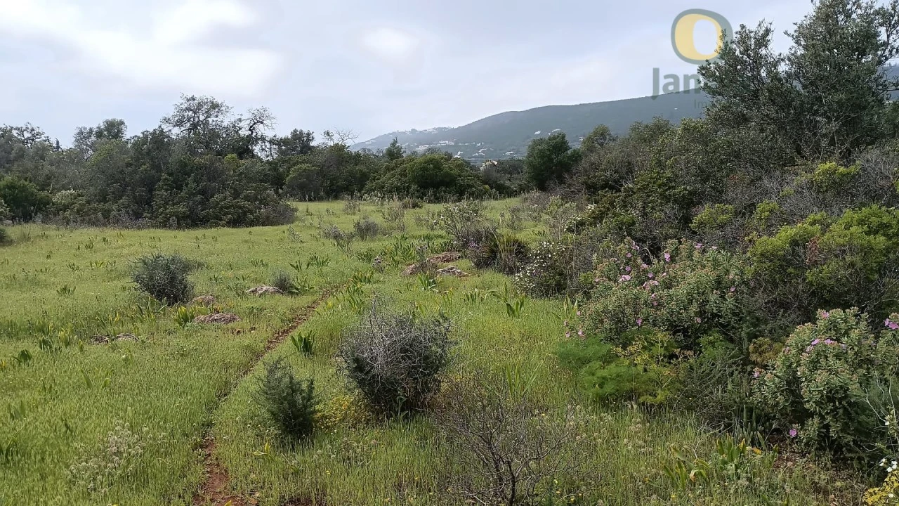 Terreno para Venda em Santa Barbara de Nexe Foto 9