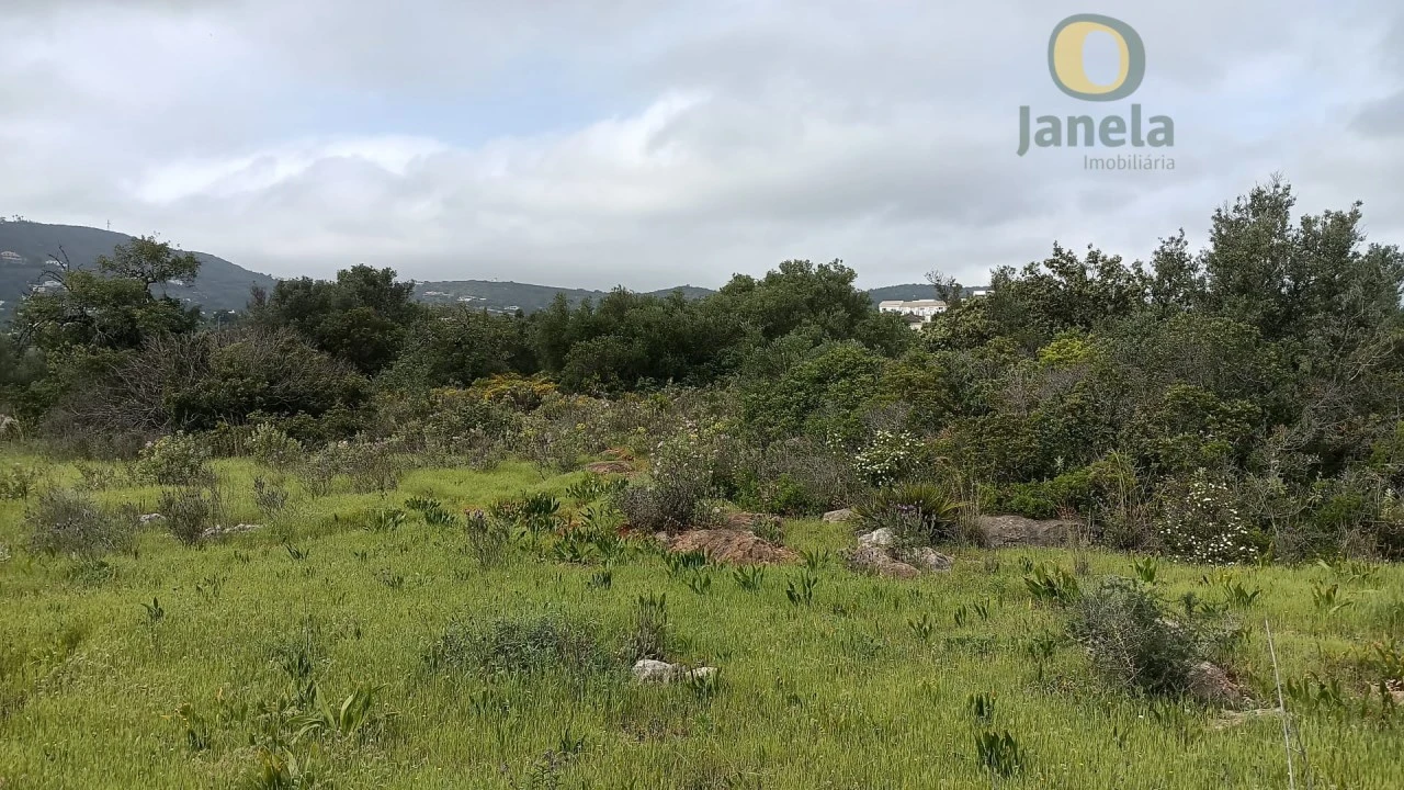 Terreno para Venda em Santa Barbara de Nexe Foto 10
