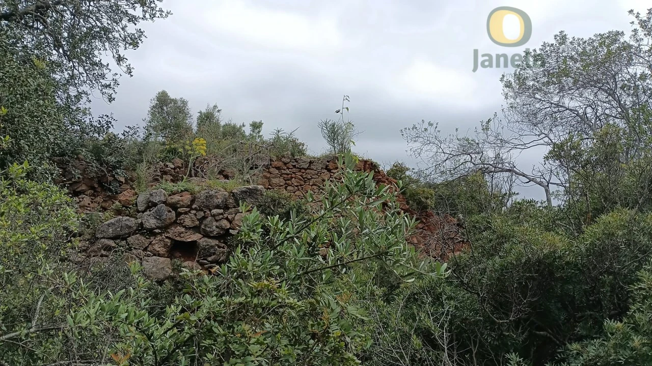 Terreno para Venda em Santa Barbara de Nexe Foto 11