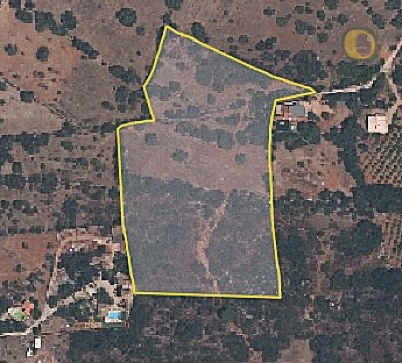 Terreno para Venda em Santa Barbara de Nexe Foto 2