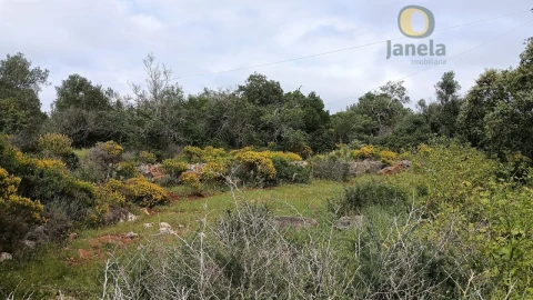 Terreno para Venda em Santa Barbara de Nexe